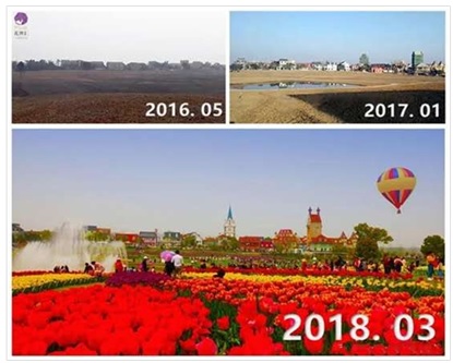 Caidian flower village change over time
