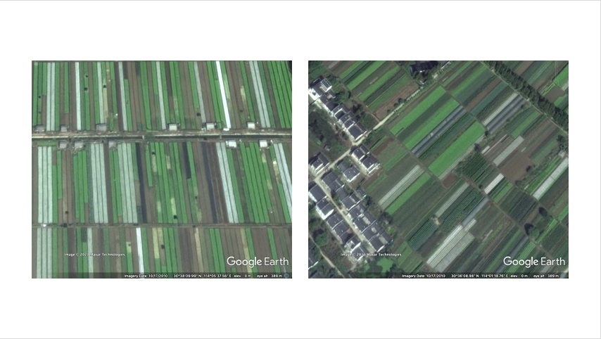 Houses and huts of farmers visible in google earth images