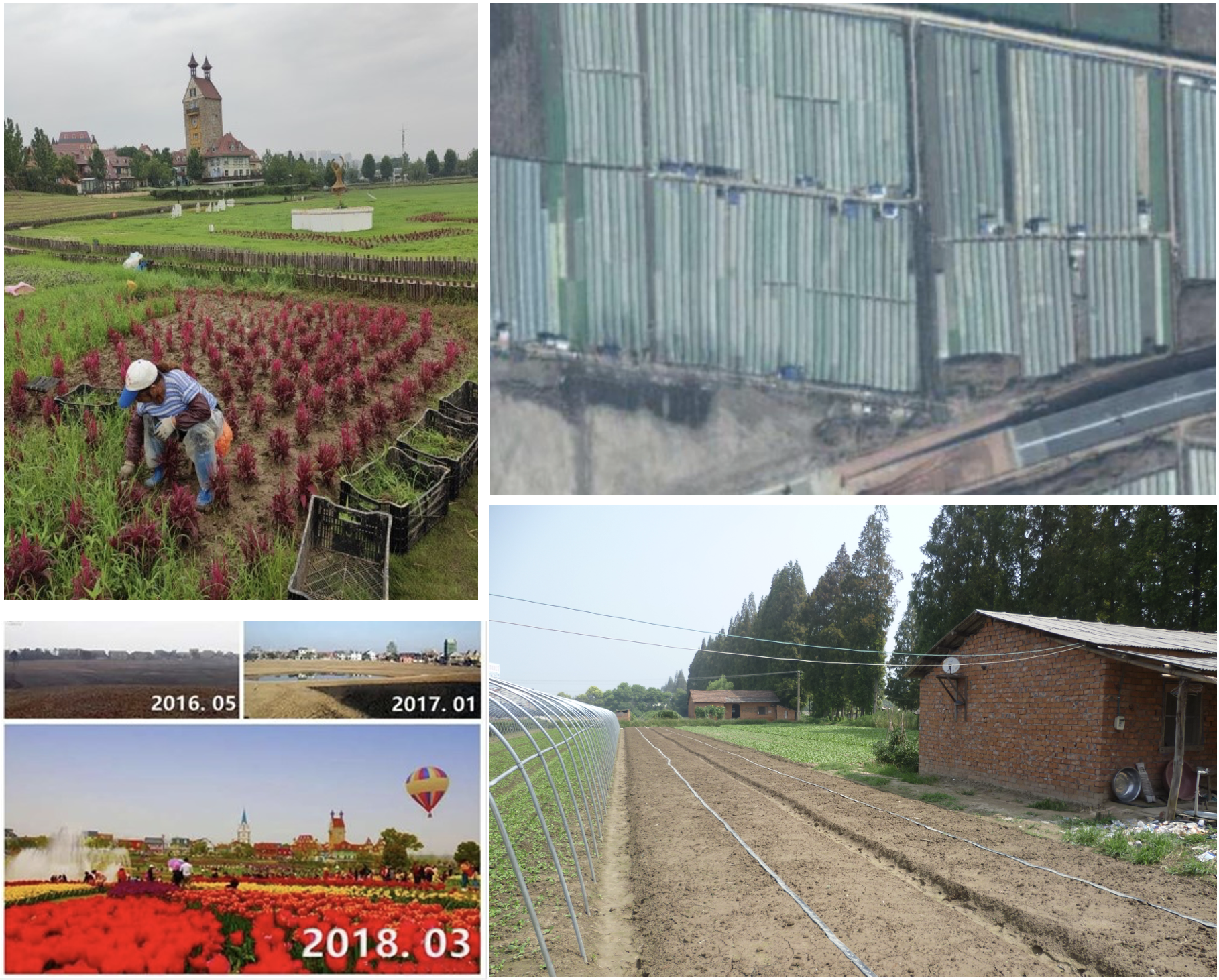 Photos of fields, farmhouse and flower village